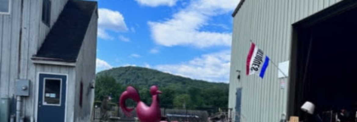 The Auction Barn LLC