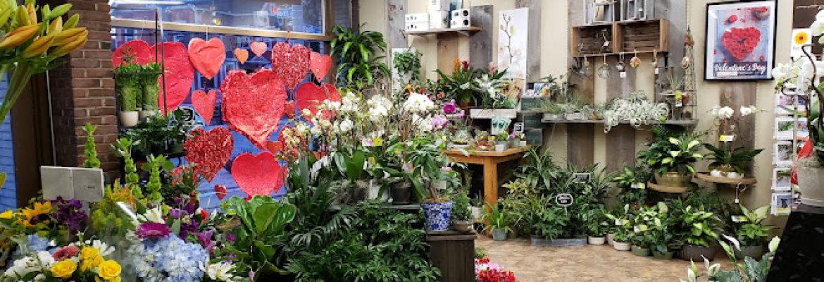Stamford Florist