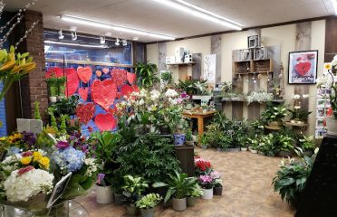 Stamford Florist