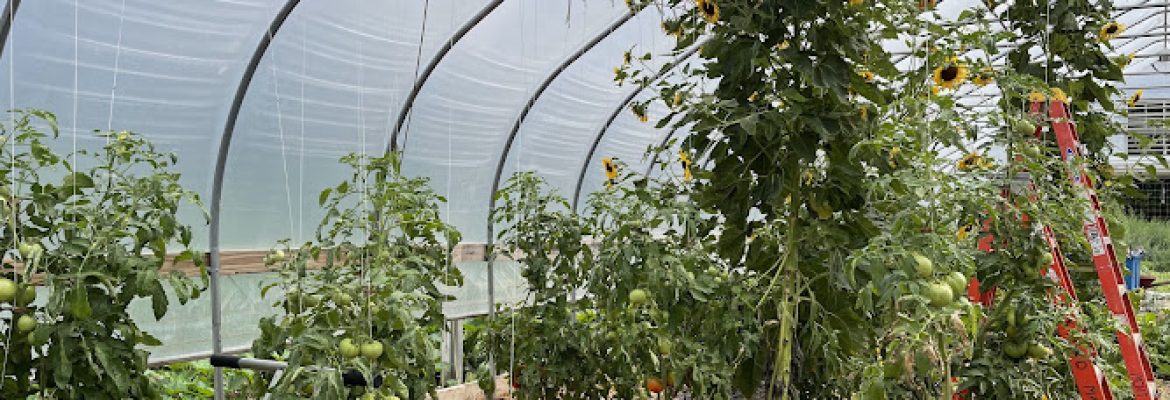 The Giving Garden at Coogan Farm