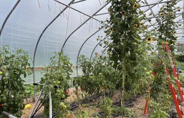 The Giving Garden at Coogan Farm