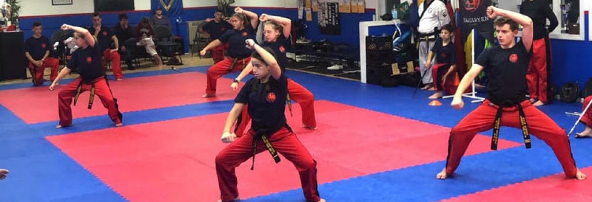 Litchfield Tang Soo Do