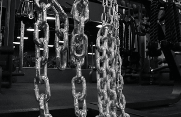 GYM SCENE