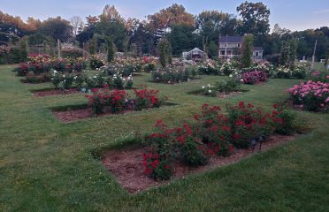 Elizabeth Park Rose Garden