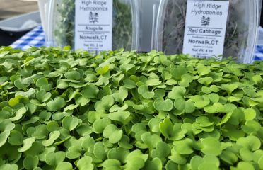 High Ridge Hydroponics Urban Farm