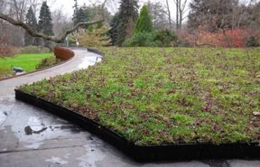 Evergreen Environments LLC