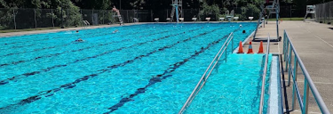 Terry Pool