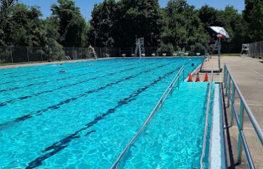 Terry Pool