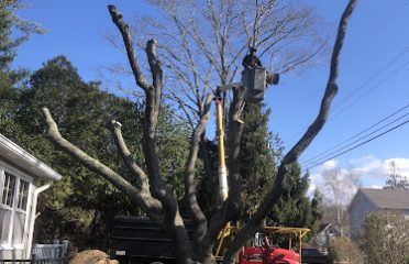 AFFORDABLE TREE LLC – Mystic, CT formerly Affordable Tree Service