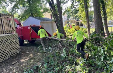 ALX Tree Service