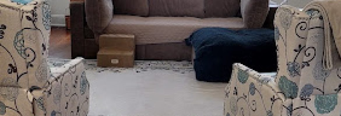 New Vibes Cleaning LLC