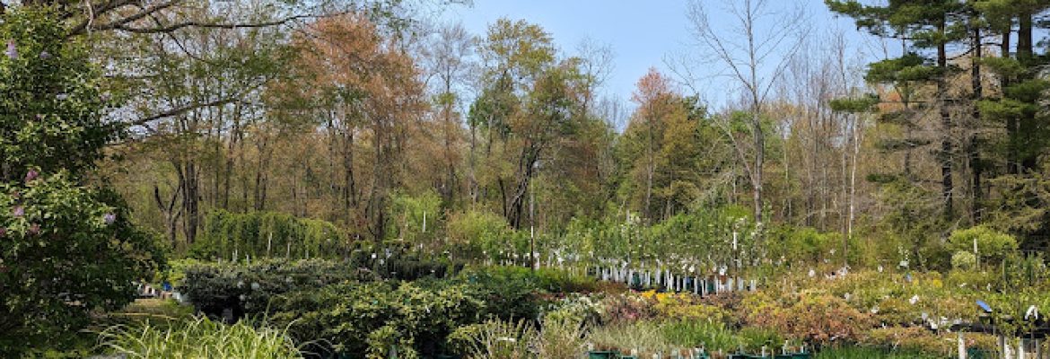 Litchfield Hills Nursery Inc