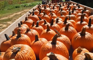Kasheta Farms
