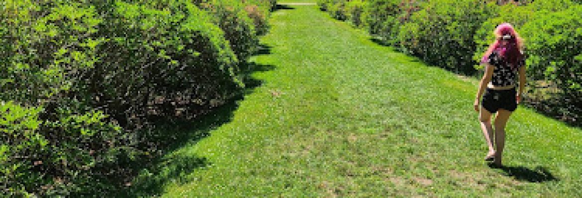 Connecticut College Arboretum