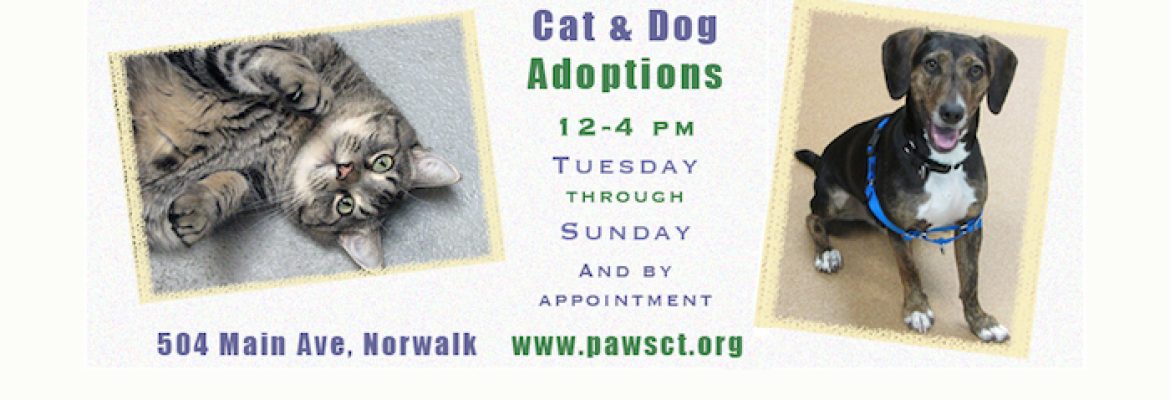 PAWS (Pet Animal Welfare Society, Inc.)