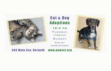 PAWS (Pet Animal Welfare Society, Inc.)