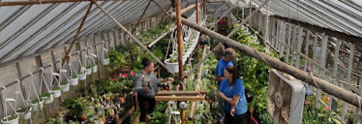Ladd’s Garden Center