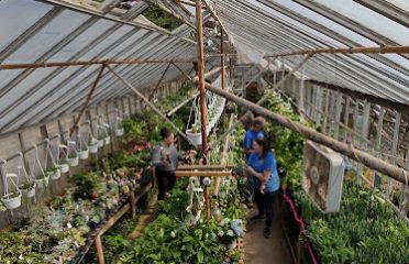 Ladd’s Garden Center