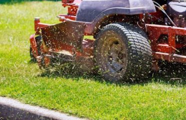 Colonel Landscaping