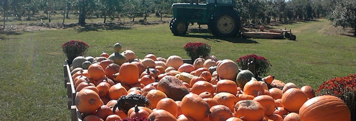 Lapsley Orchards