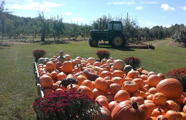 Lapsley Orchards