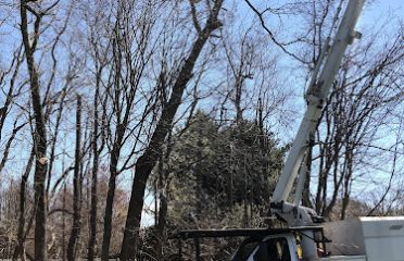The Magnolia Tree Services LLC