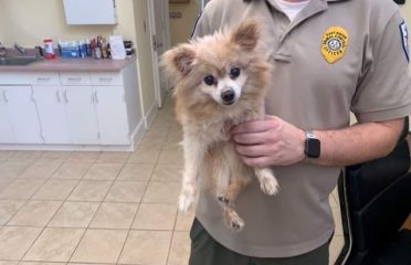 East Haven Animal Control