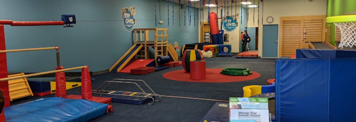 My Gym Children’s Fitness Center