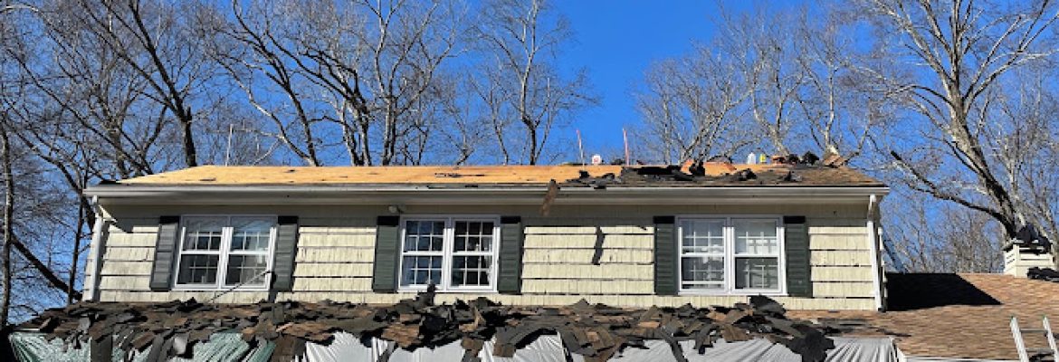 Aardvark Roofing