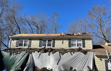 Aardvark Roofing