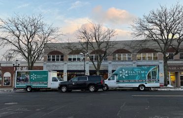 Tea Leaf Realty