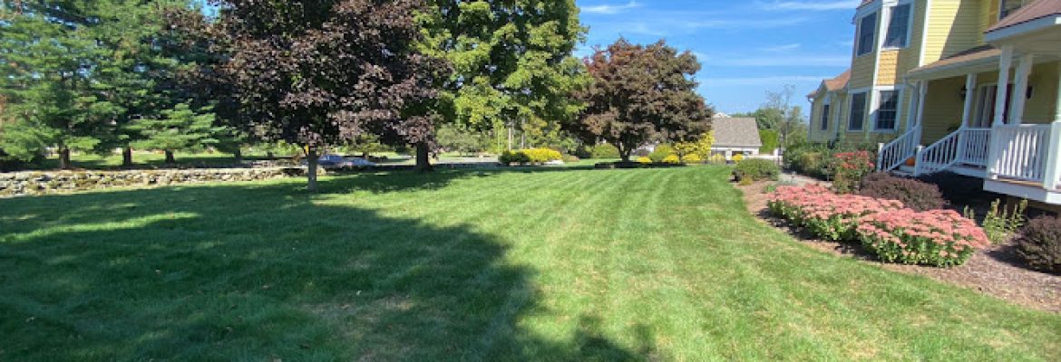 All Year Lawn LLC
