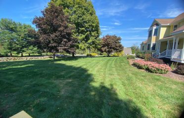 All Year Lawn LLC