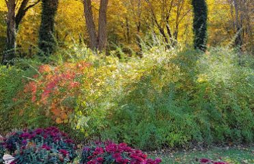 Salisbury Garden Center and Landscaping