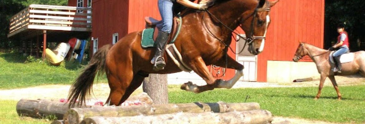 SJ Riding Camp