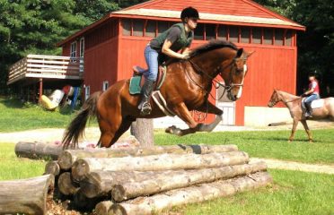 SJ Riding Camp