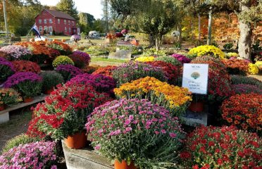 Edmondson’s Farm & Nursery