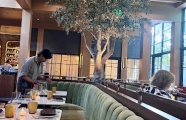 Dandelion – Westport