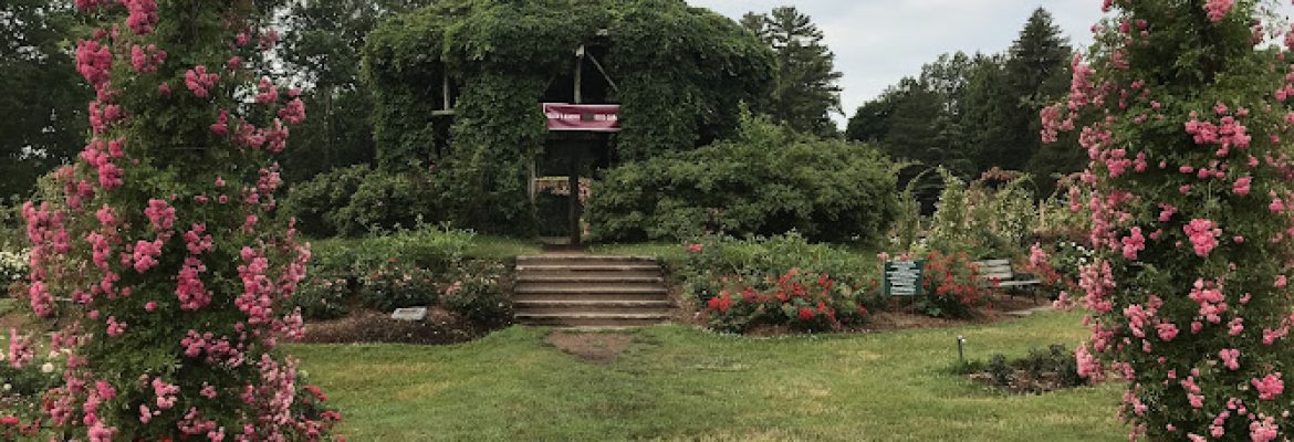 Elizabeth Park Rose Garden