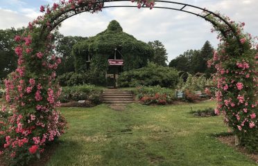 Elizabeth Park Rose Garden