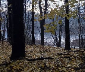 Lake Whitney Open Space