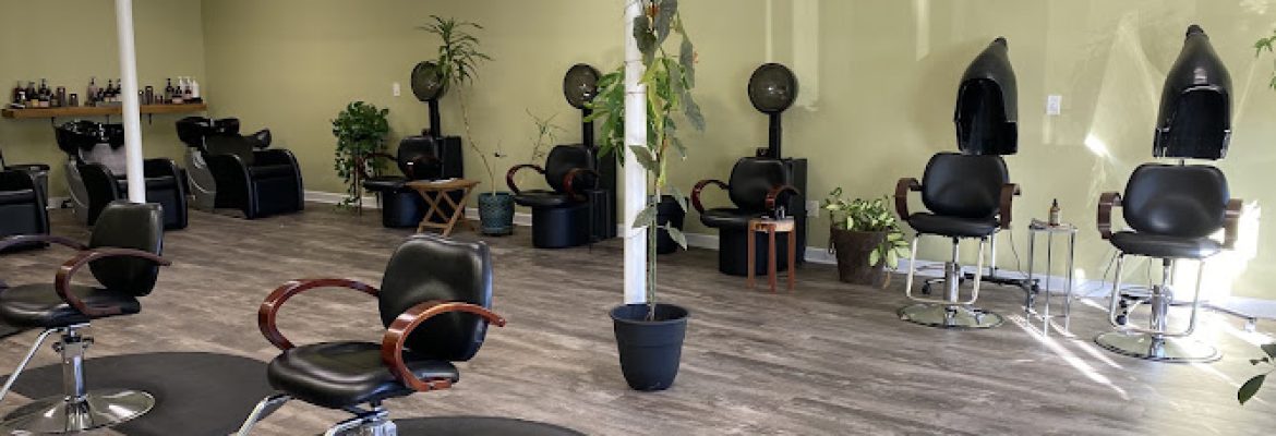 Organic Hair By Ashley