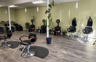 Organic Hair By Ashley