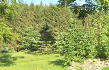 Bob’s Tree Farm