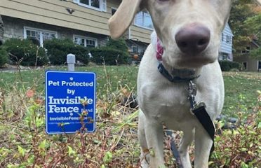 Invisible Fence Brand