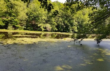 Woodcock Nature Center