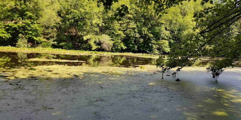 Woodcock Nature Center
