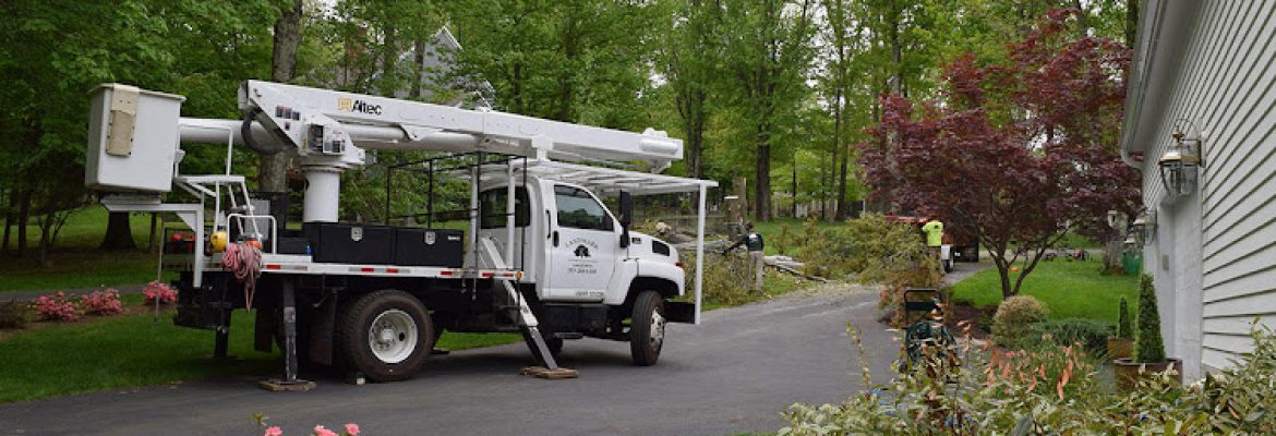 Landmark Landscaping & Tree Service