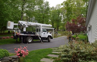 Landmark Landscaping & Tree Service