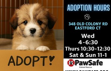 PawSafe Animal Rescue (Eastford)